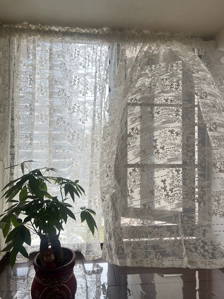 Korean Garden Embroidered Lace Curtain curtain hanging style demonstration thumbnail