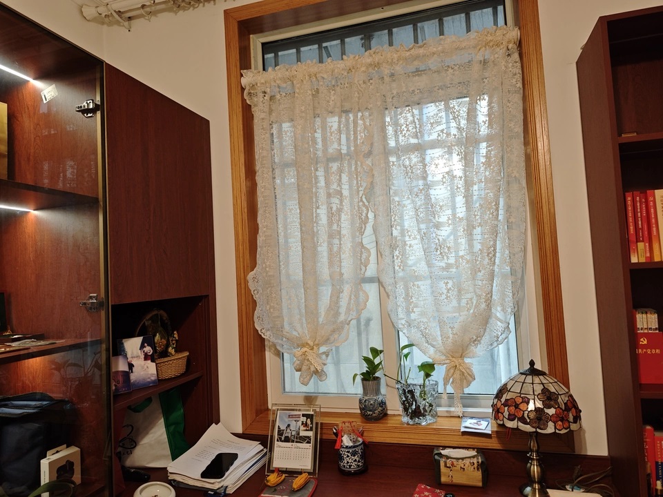 Korean Garden Embroidered Lace Curtain alternate room scene thumbnail